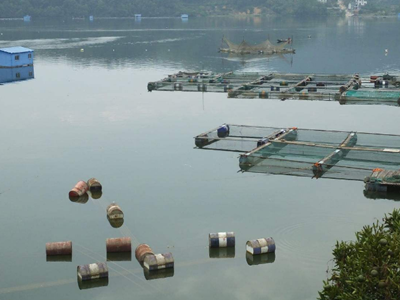 深圳水質(zhì)檢測(cè) 深圳水質(zhì)檢測(cè)