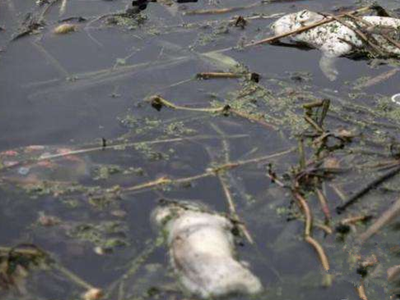 深圳水質(zhì)檢測 深圳水質(zhì)檢測