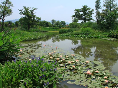 深圳廢水檢測(cè) 深圳廢水檢測(cè)