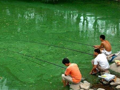 深圳水質(zhì)檢測 深圳水質(zhì)檢測