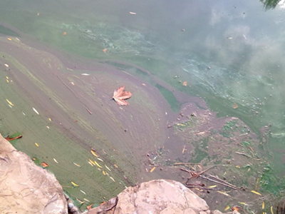 第三方水質(zhì)檢測公司 第三方水質(zhì)檢測公司